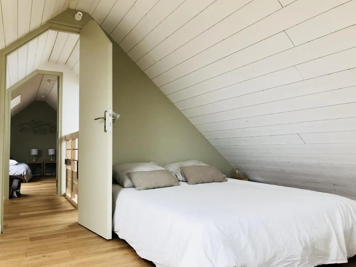 Dernier Ecolodge Avant Newyork 普洛戈 0*,  法国